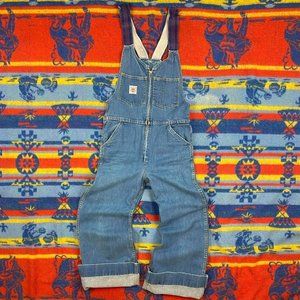 Vintage Carhartt Blue Dungarees Overalls